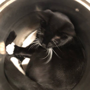 Meet your Posher, Anouk